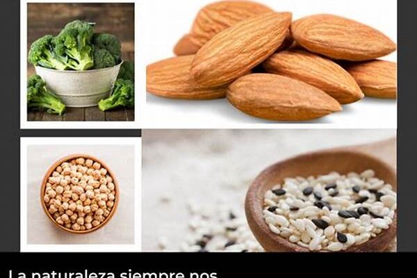 Alimentos Sin Lácteos Con Calcio