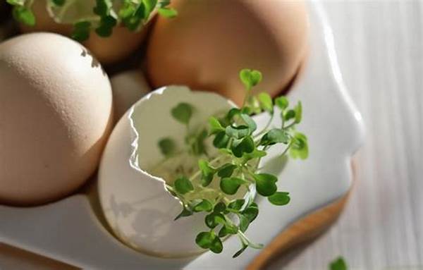 Alternativas Veganas Para Huevos