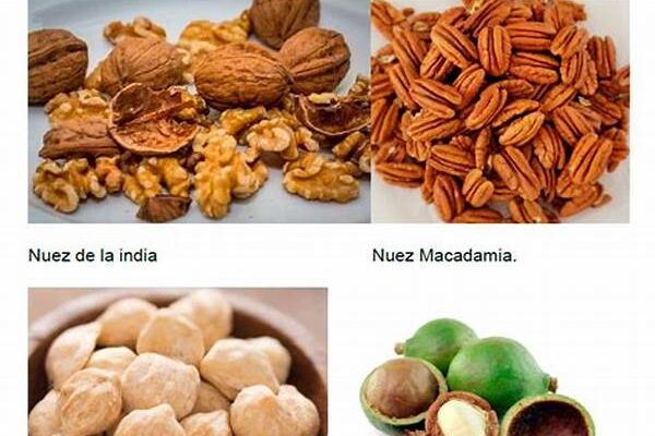 Aporte Proteico De Almendras Y Nueces