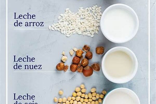 Leches Vegetales Para Veganos