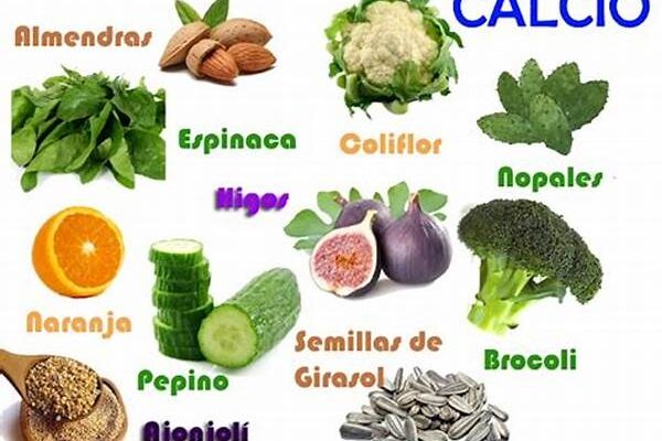 Lista De Vegetales Con Mucho Calcio
