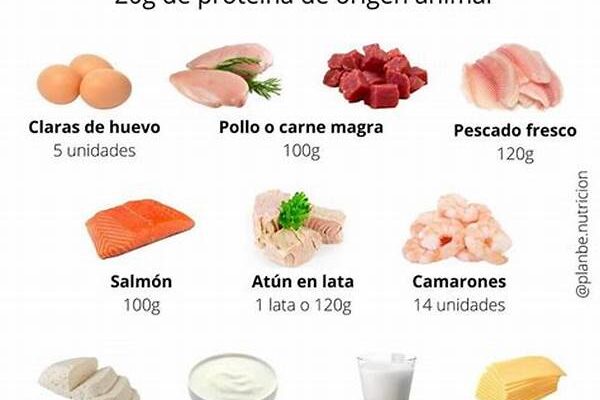 Opciones De Proteínas Sin Animal