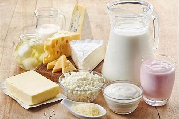 Productos Proteicos Libres De Lácteos
