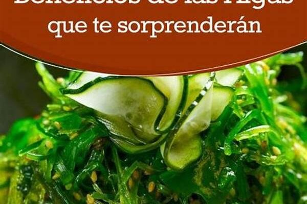 Propiedades Saludables De Algas