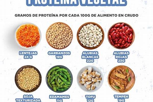 Alimentos Ricos En Proteína Vegetal
