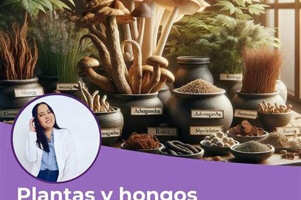 Beneficios De Adaptógenos Para Veganos