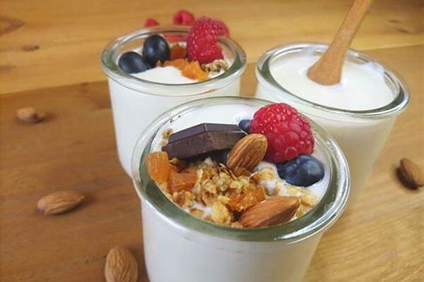 Cómo Hacer Yogur Vegano