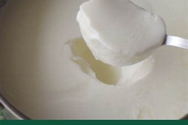 Herramientas Necesarias Para Yogur Casero