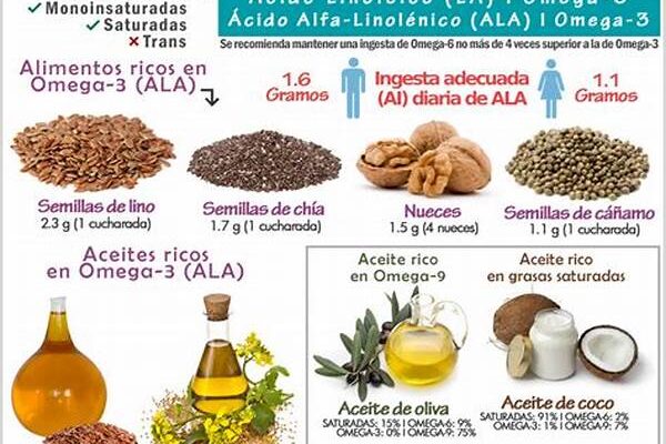 Nutrición Vegana Con Omega 3