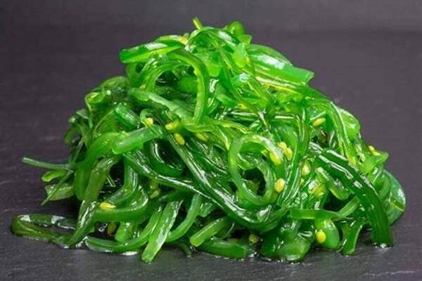 Propiedades Antioxidantes De Algas