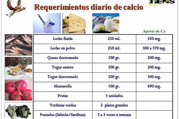 Requerimientos Diarios De Calcio