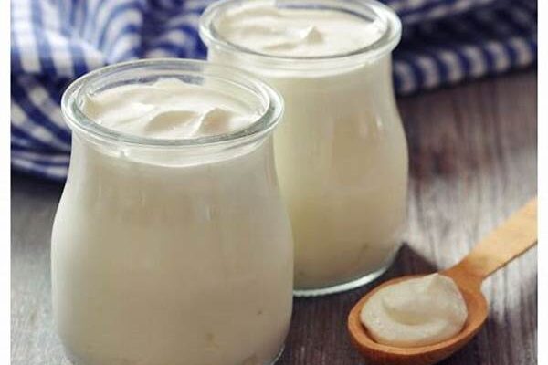 Yogur Alternativo Hecho En Casa