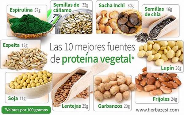 Beneficios De Fuentes Proteicas Veganas.