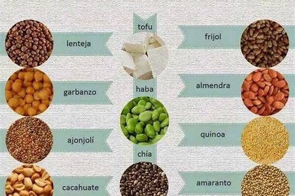 Sustitutos De Proteína Animal Naturales